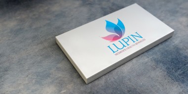 Lupin Logo Design New Orleans