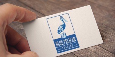 Identity and Logo Design - Blue Pelican Business Cards