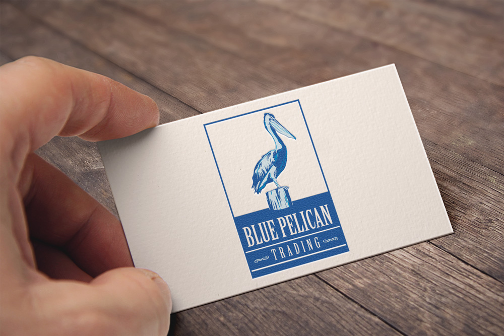 Identity and Logo Design - Blue Pelican Business Cards