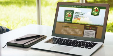 New Orleans Website Design and Development - Healthy Plant Website