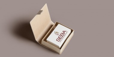 Identity and Logo Design - SEBA Business Cards