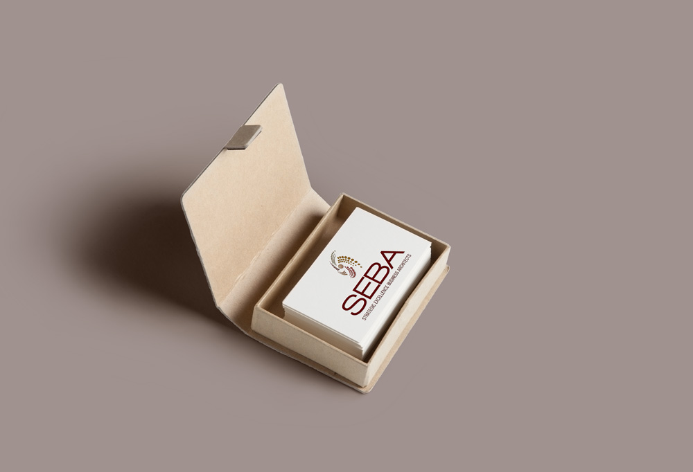 Identity and Logo Design - SEBA Business Cards