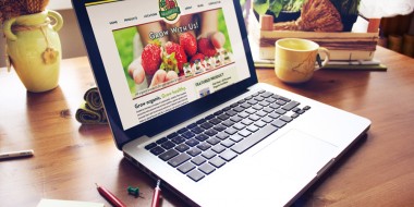 New Orleans Website Development and Design - Healthy Plant Website