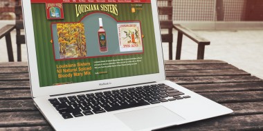 Website Design and Development New Orleans - Louisiana Sisters Website