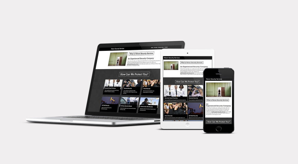 Falcon Security Website Development