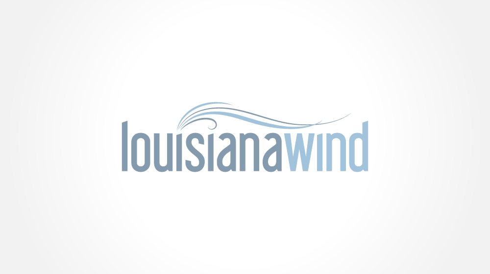 Logo Design - Custom Graphic Design in New Orleans