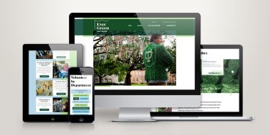 TU Evergreen Alumni website design and development